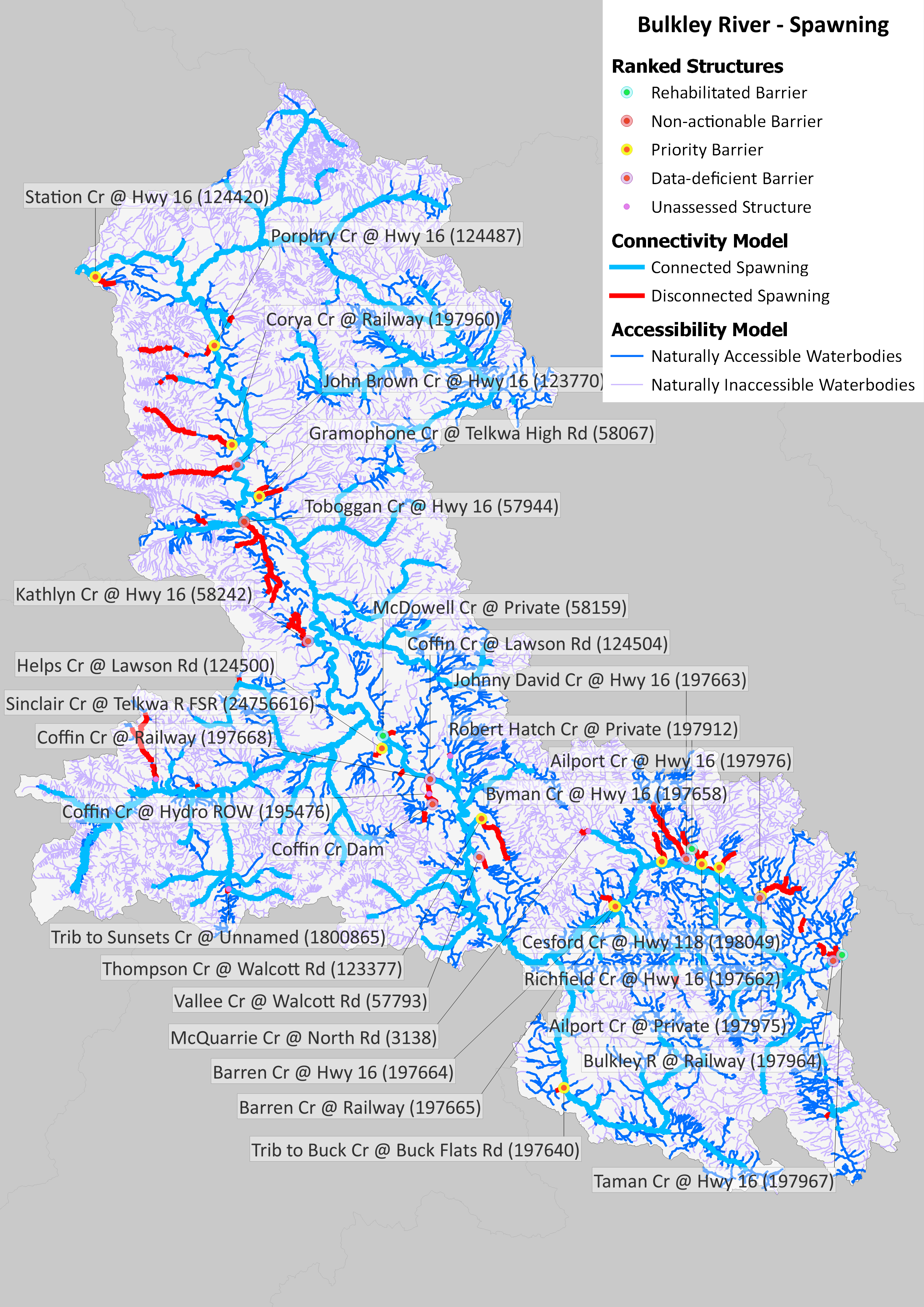 Figure 1: Map of Pacific salmon and steelhead spawning habitat and structures that are confirmed or potential barriers to fish passage in the Bulkley River watershed as of May 2026. Structure data were obtained from BCFishPass and the Canadian Aquatic Barriers Database (aquaticbarriers.ca). The accessibility model represents areas of the watershed that one or more Pacific salmon and steelhead could access naturally in the absence of anthropogenic barriers. The habitat model represents the subset of accessible waterbodies that may be used by one or more Pacific salmon and steelhead for spawning. Available local knowledge and data were incorporated and overruled habitat model results. Thick red lines represent habitat considered to be fully disconnected (upstream of barriers or unassessed structures). Barriers that were rehabilitated through implementation of this plan are shown, but other excluded structures (e.g., those found to be passable) are not.